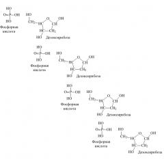 Нуклеиновые кислоты. Б. Структура дезоксирибонуклеиновой кислоты (ДНК) Химические свойства ДНК
